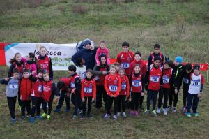 gruppo